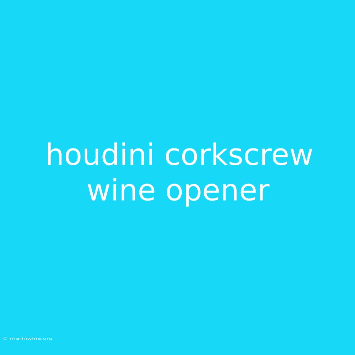 Houdini Corkscrew Wine Opener