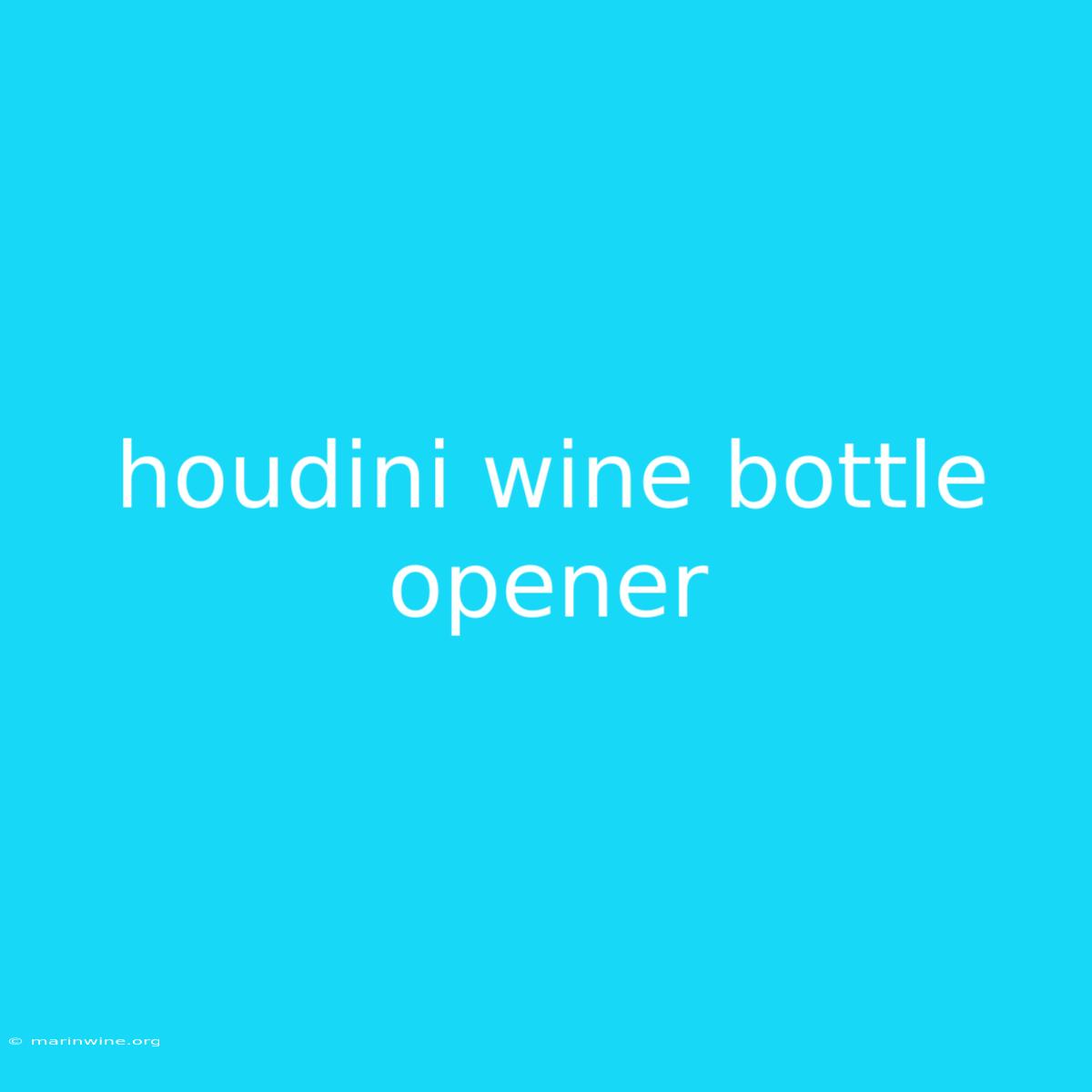 Houdini Wine Bottle Opener