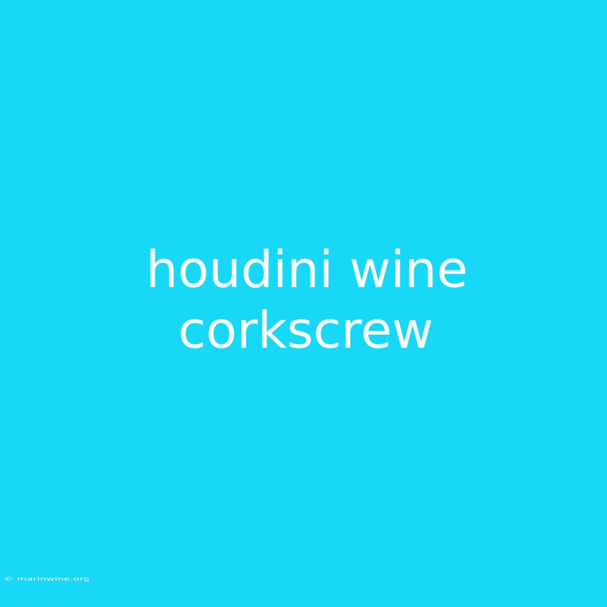 Houdini Wine Corkscrew