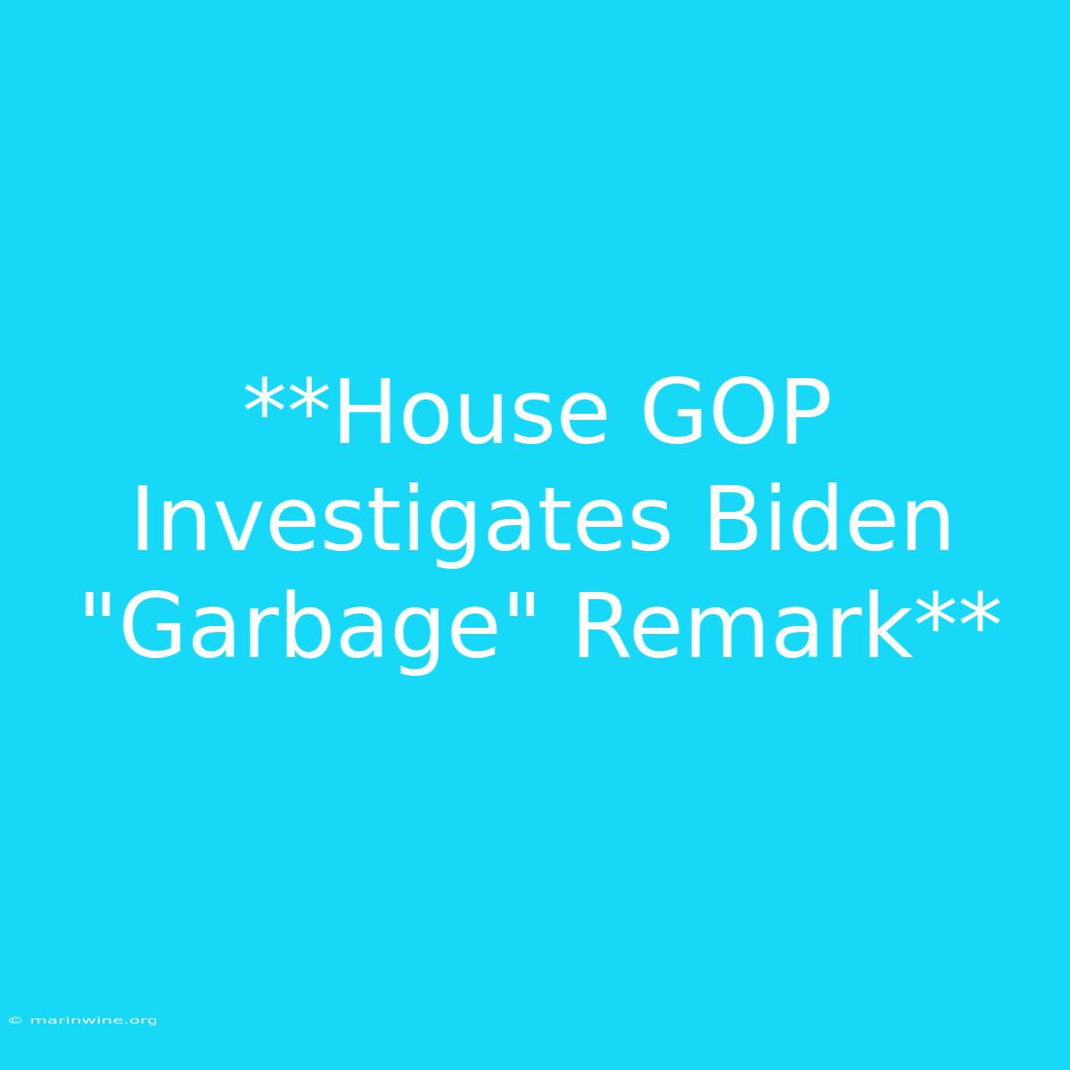 **House GOP Investigates Biden 