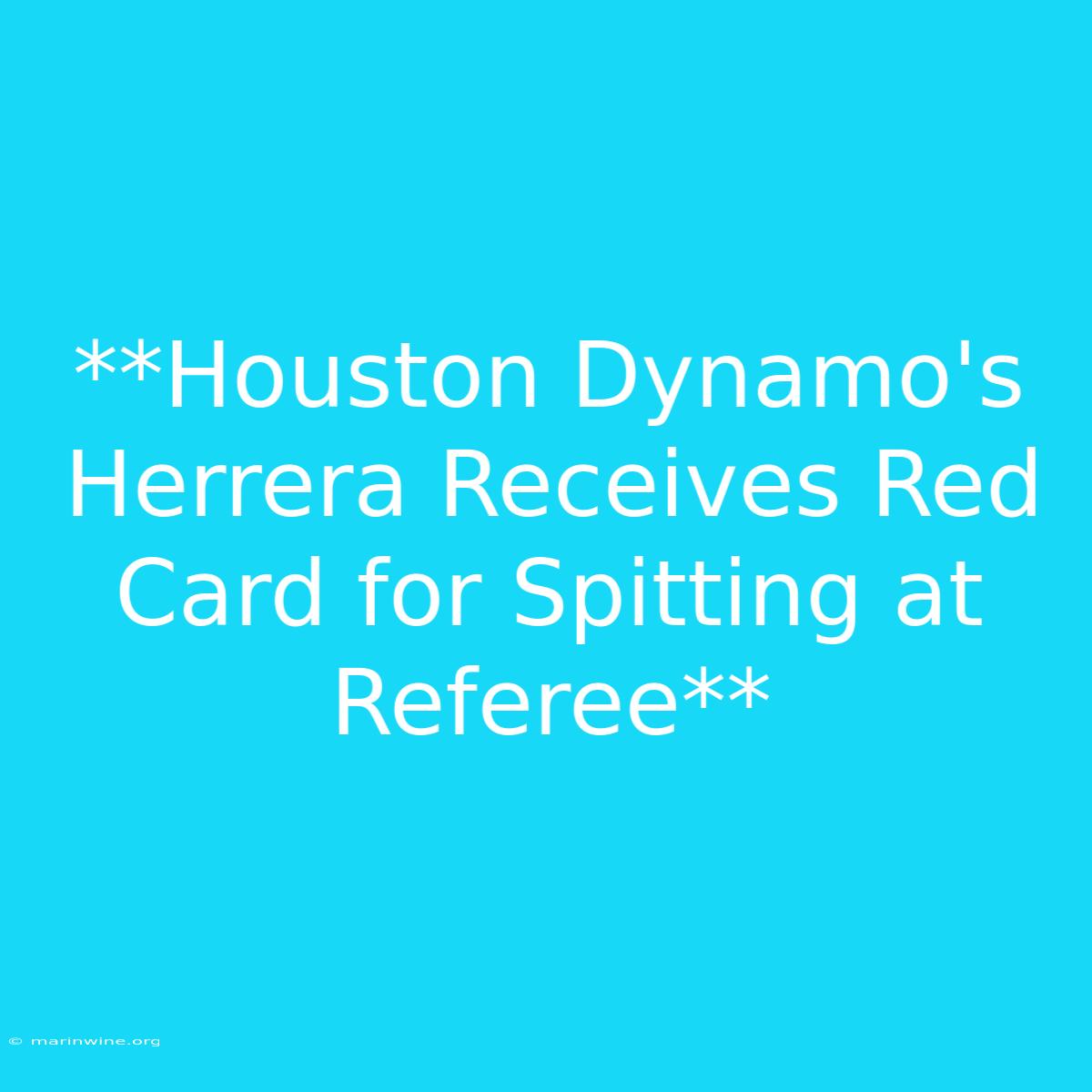 **Houston Dynamo's Herrera Receives Red Card For Spitting At Referee** 