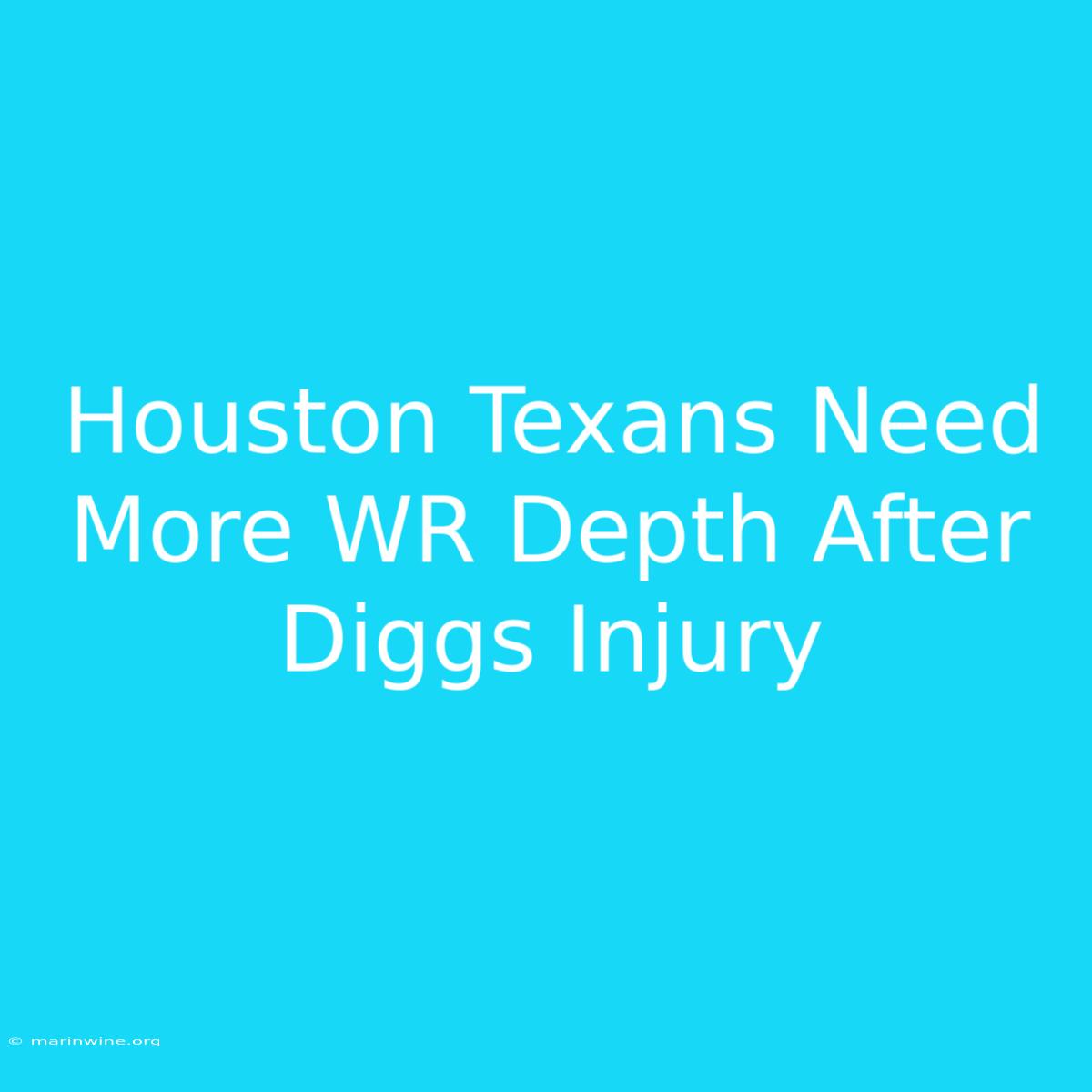 Houston Texans Need More WR Depth After Diggs Injury 