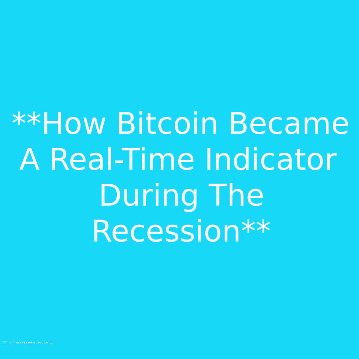 **How Bitcoin Became A Real-Time Indicator During The Recession**