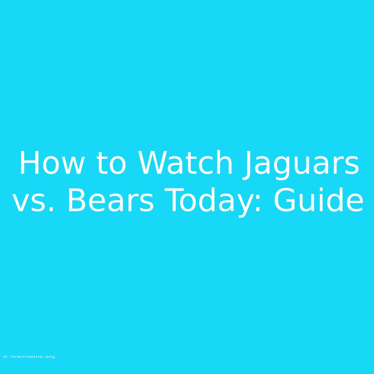 How To Watch Jaguars Vs. Bears Today: Guide 