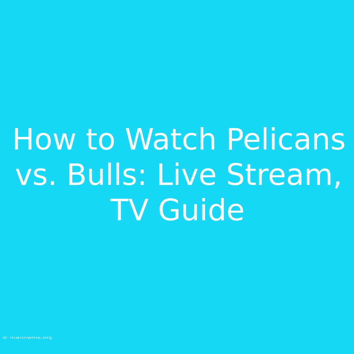 How To Watch Pelicans Vs. Bulls: Live Stream, TV Guide