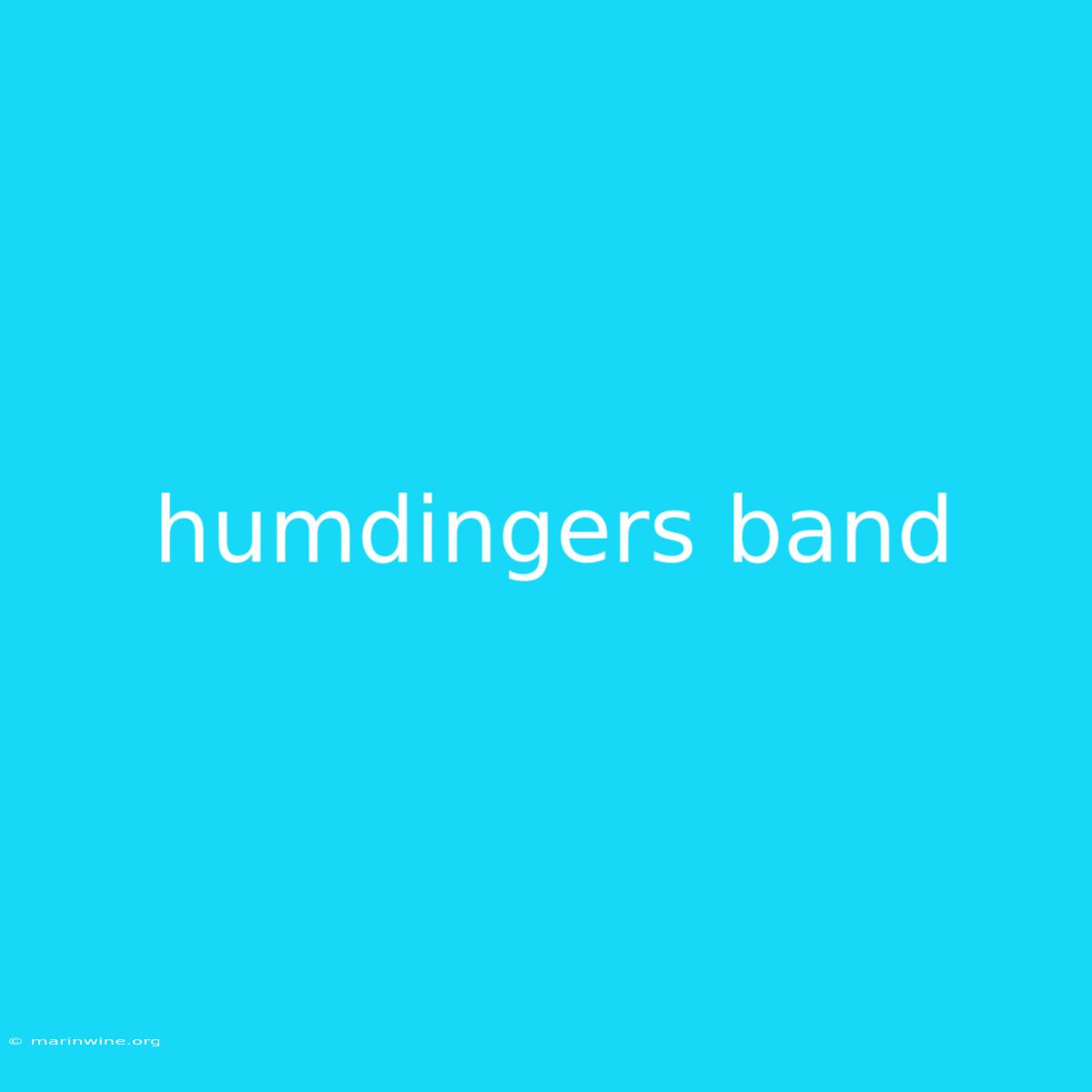 Humdingers Band