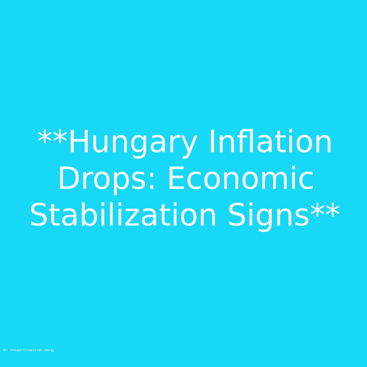 **Hungary Inflation Drops: Economic Stabilization Signs**