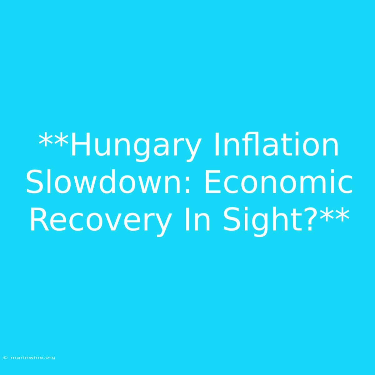 **Hungary Inflation Slowdown: Economic Recovery In Sight?** 