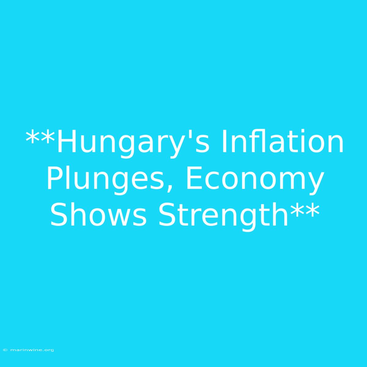 **Hungary's Inflation Plunges, Economy Shows Strength**