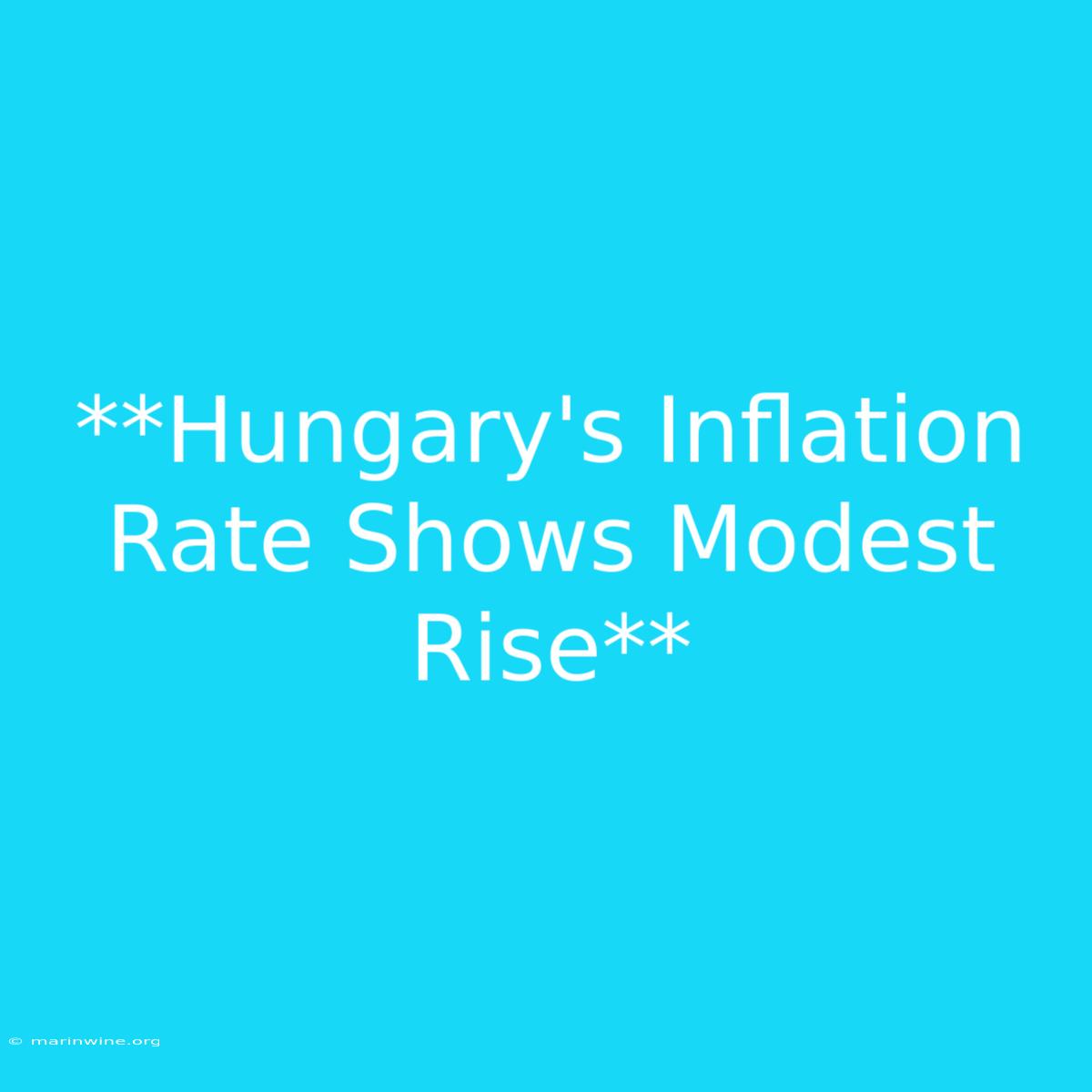 **Hungary's Inflation Rate Shows Modest Rise** 