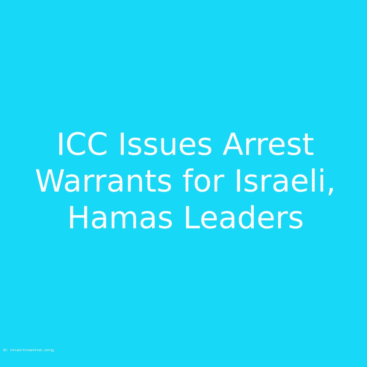 ICC Issues Arrest Warrants For Israeli, Hamas Leaders