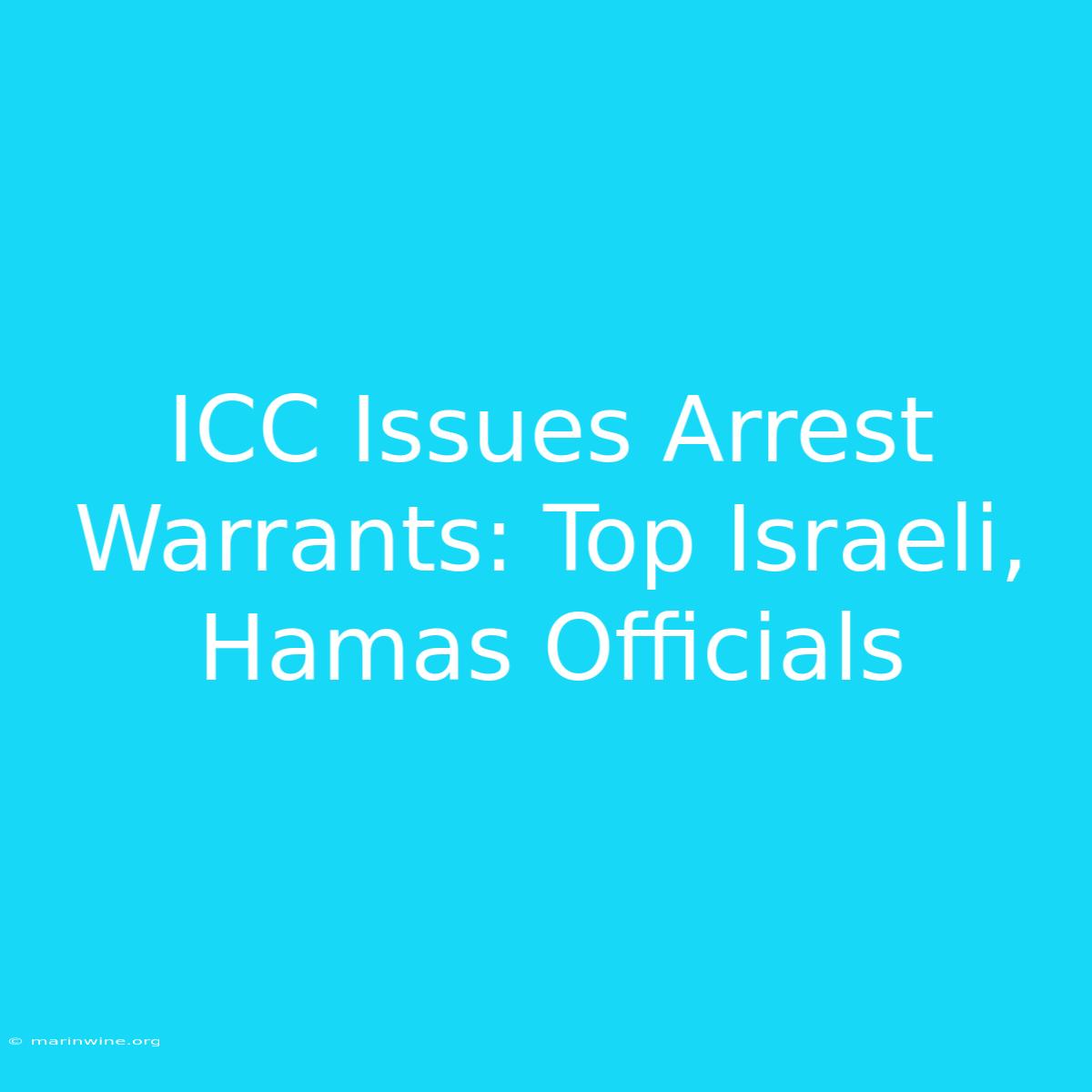 ICC Issues Arrest Warrants: Top Israeli, Hamas Officials