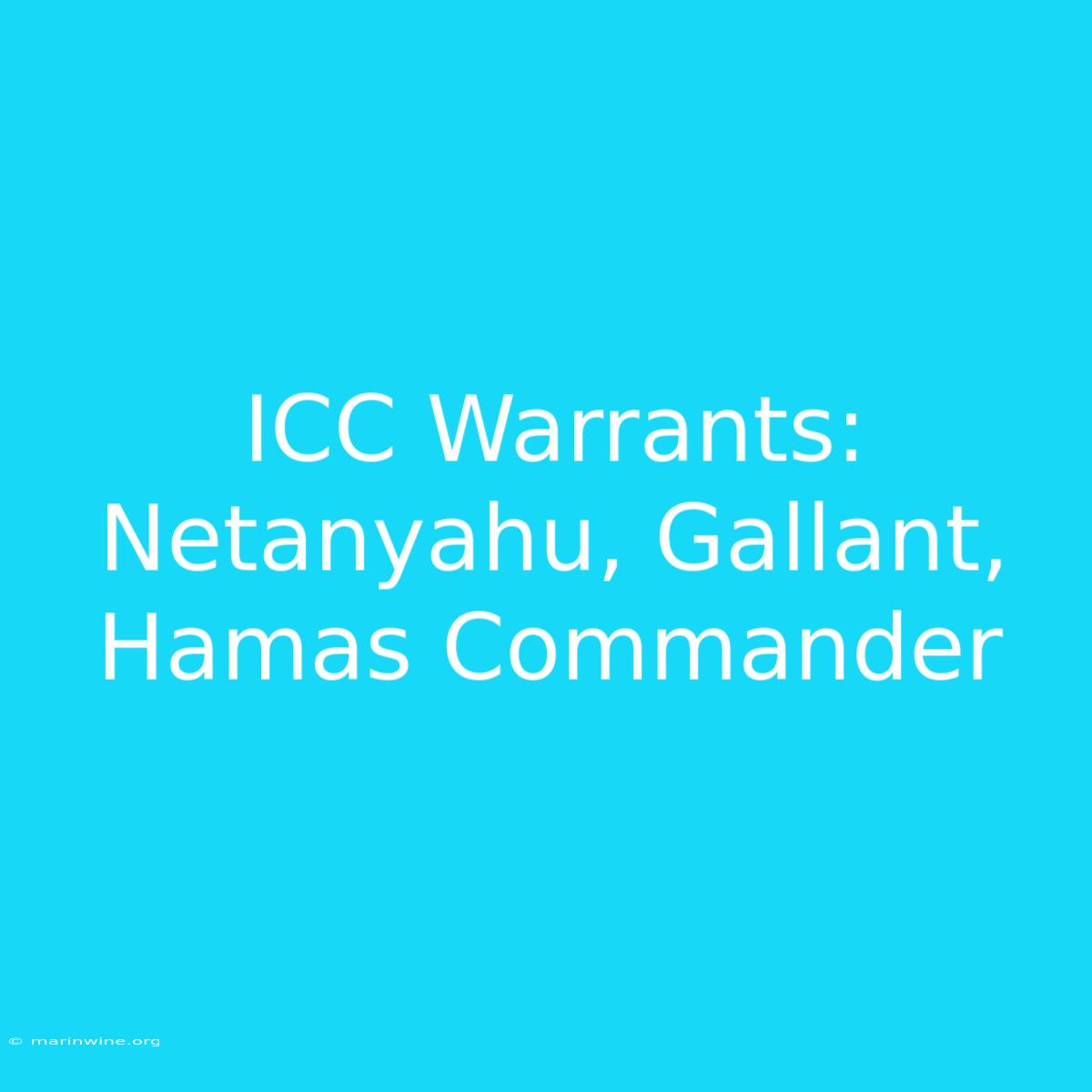 ICC Warrants: Netanyahu, Gallant, Hamas Commander