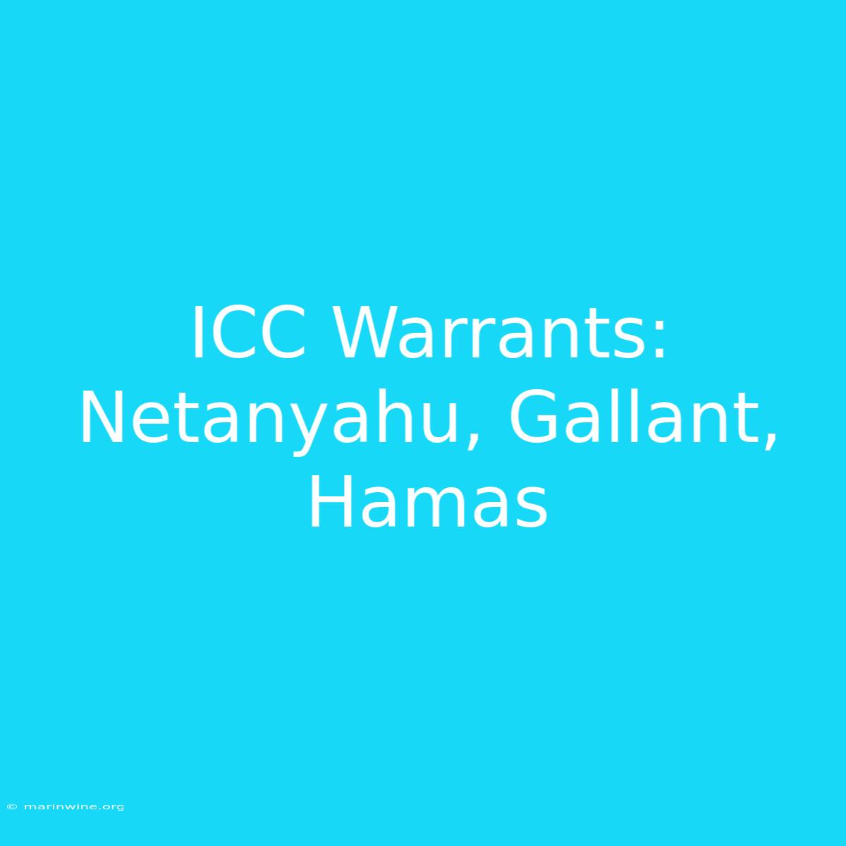 ICC Warrants: Netanyahu, Gallant, Hamas