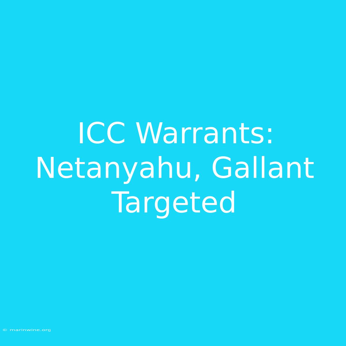 ICC Warrants: Netanyahu, Gallant Targeted