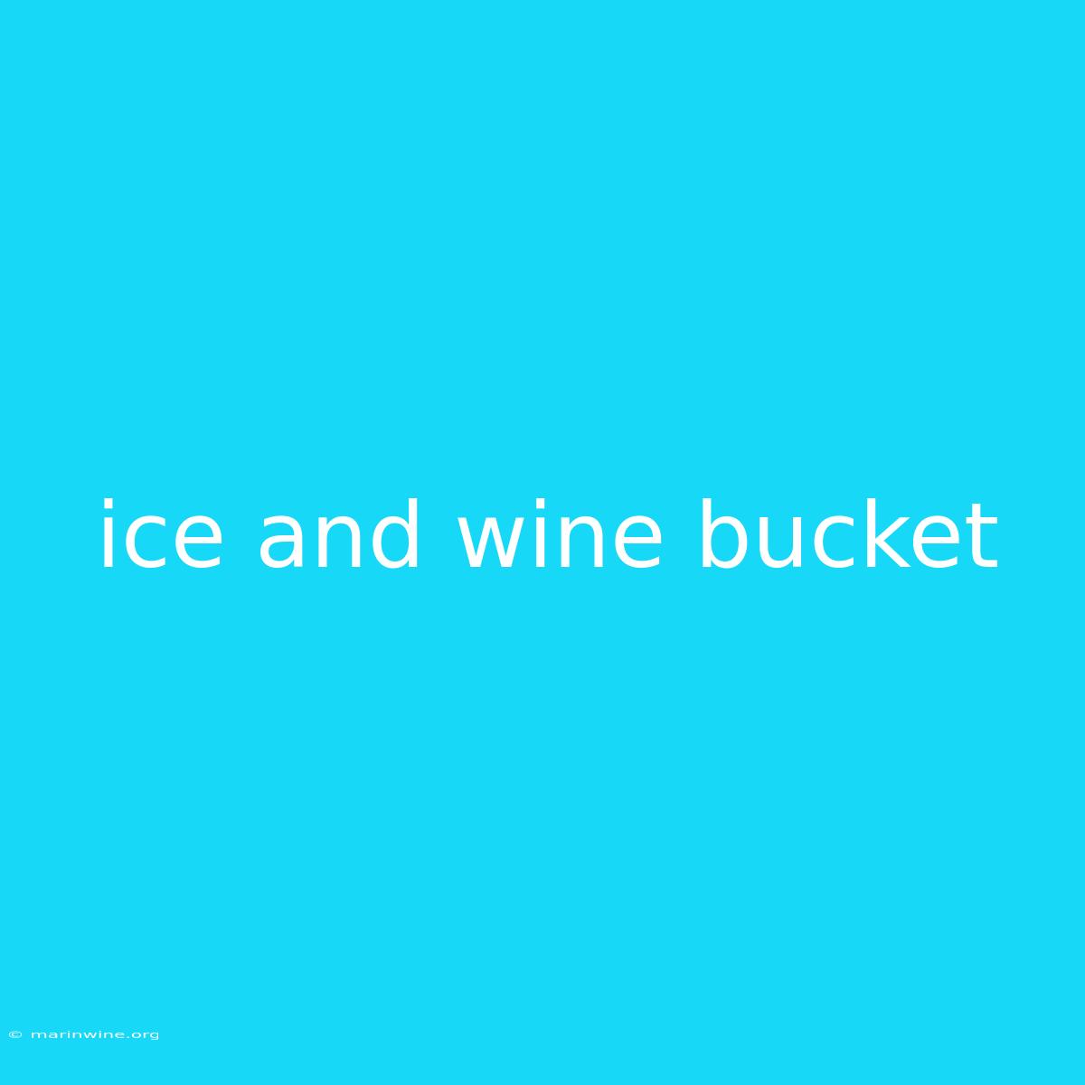 Ice And Wine Bucket