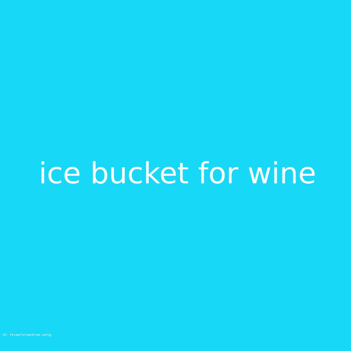 Ice Bucket For Wine