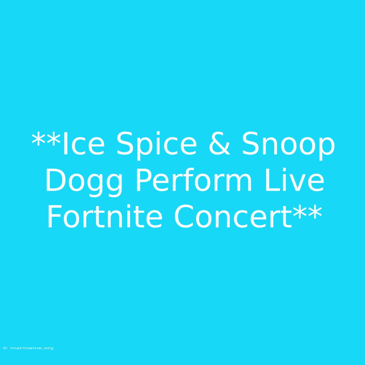 **Ice Spice & Snoop Dogg Perform Live Fortnite Concert** 