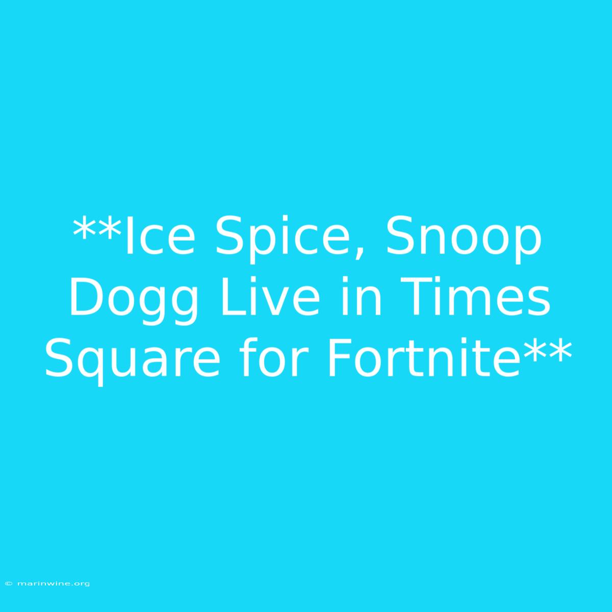 **Ice Spice, Snoop Dogg Live In Times Square For Fortnite**