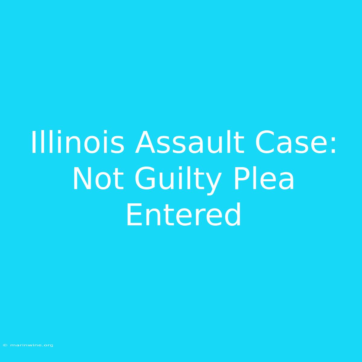 Illinois Assault Case: Not Guilty Plea Entered