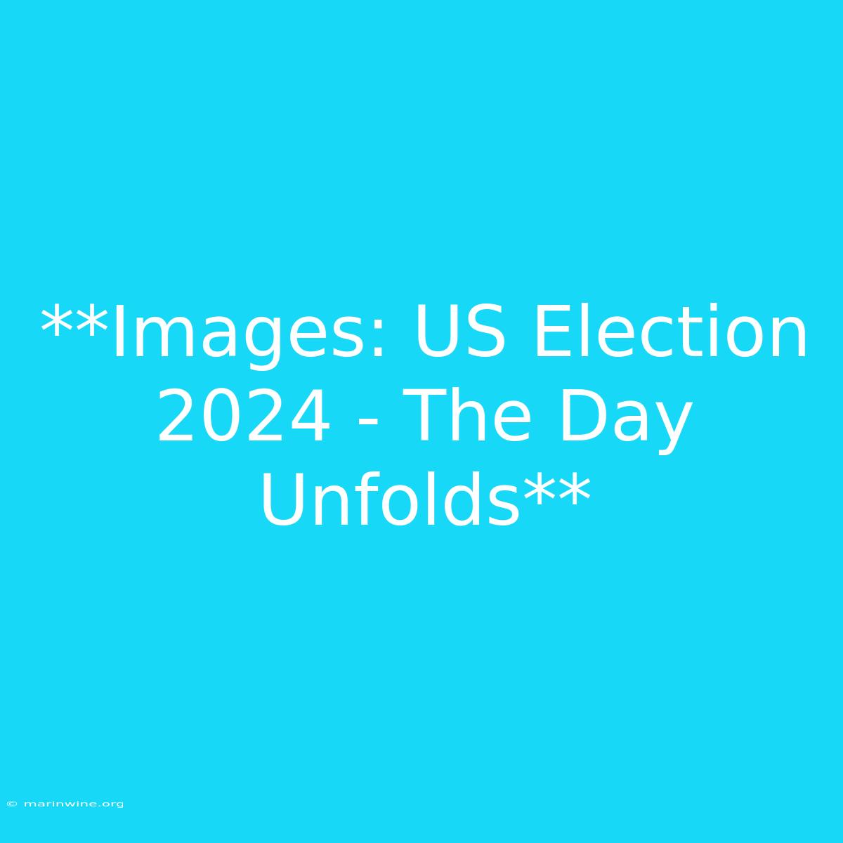 **Images: US Election 2024 - The Day Unfolds**