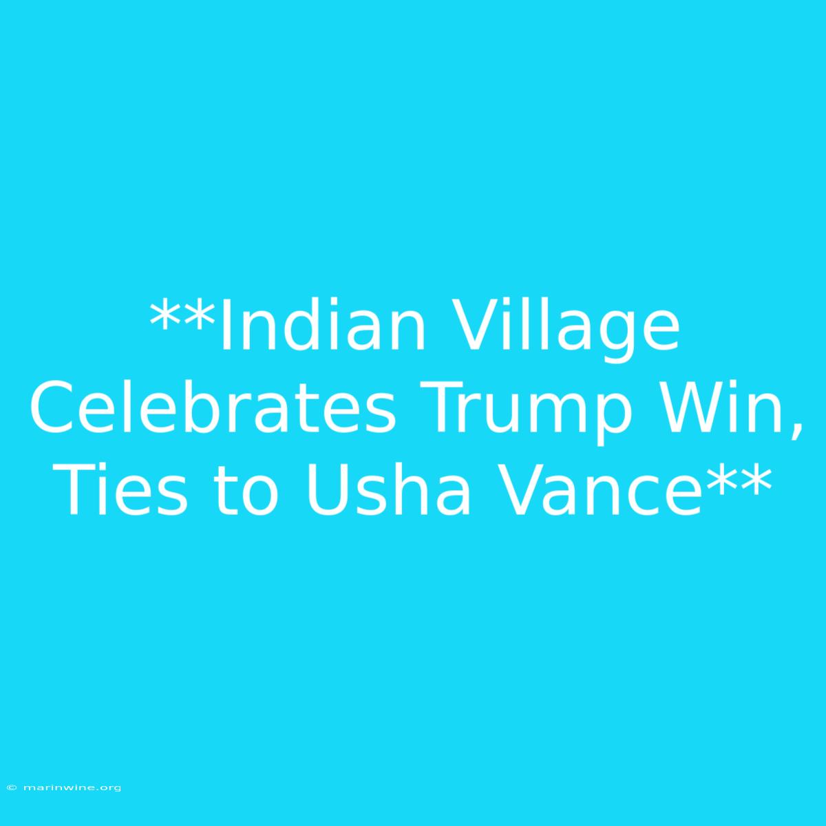 **Indian Village Celebrates Trump Win, Ties To Usha Vance**