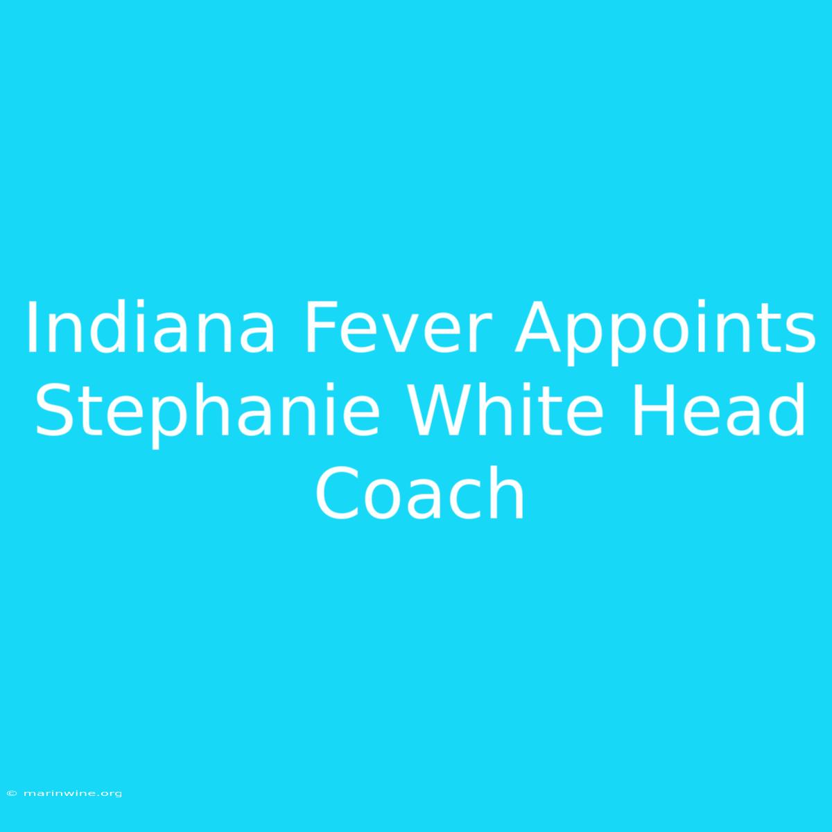 Indiana Fever Appoints Stephanie White Head Coach 