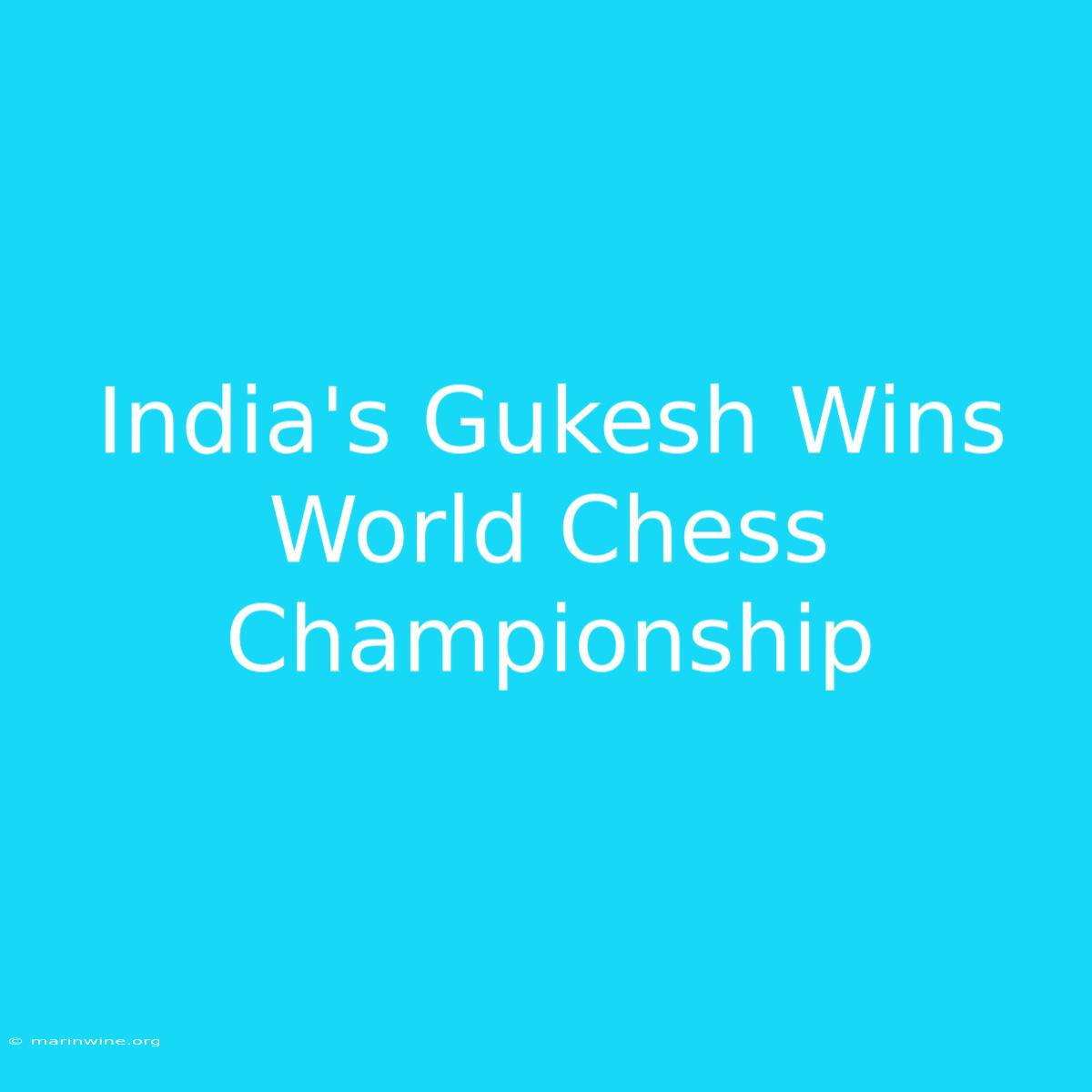 India's Gukesh Wins World Chess Championship