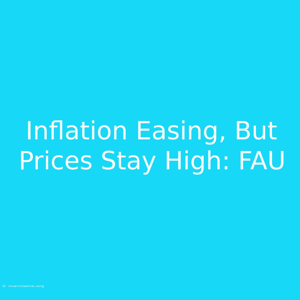 Inflation Easing, But Prices Stay High: FAU