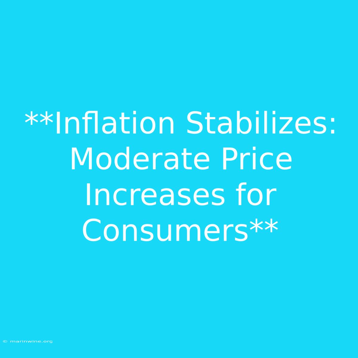 **Inflation Stabilizes: Moderate Price Increases For Consumers** 