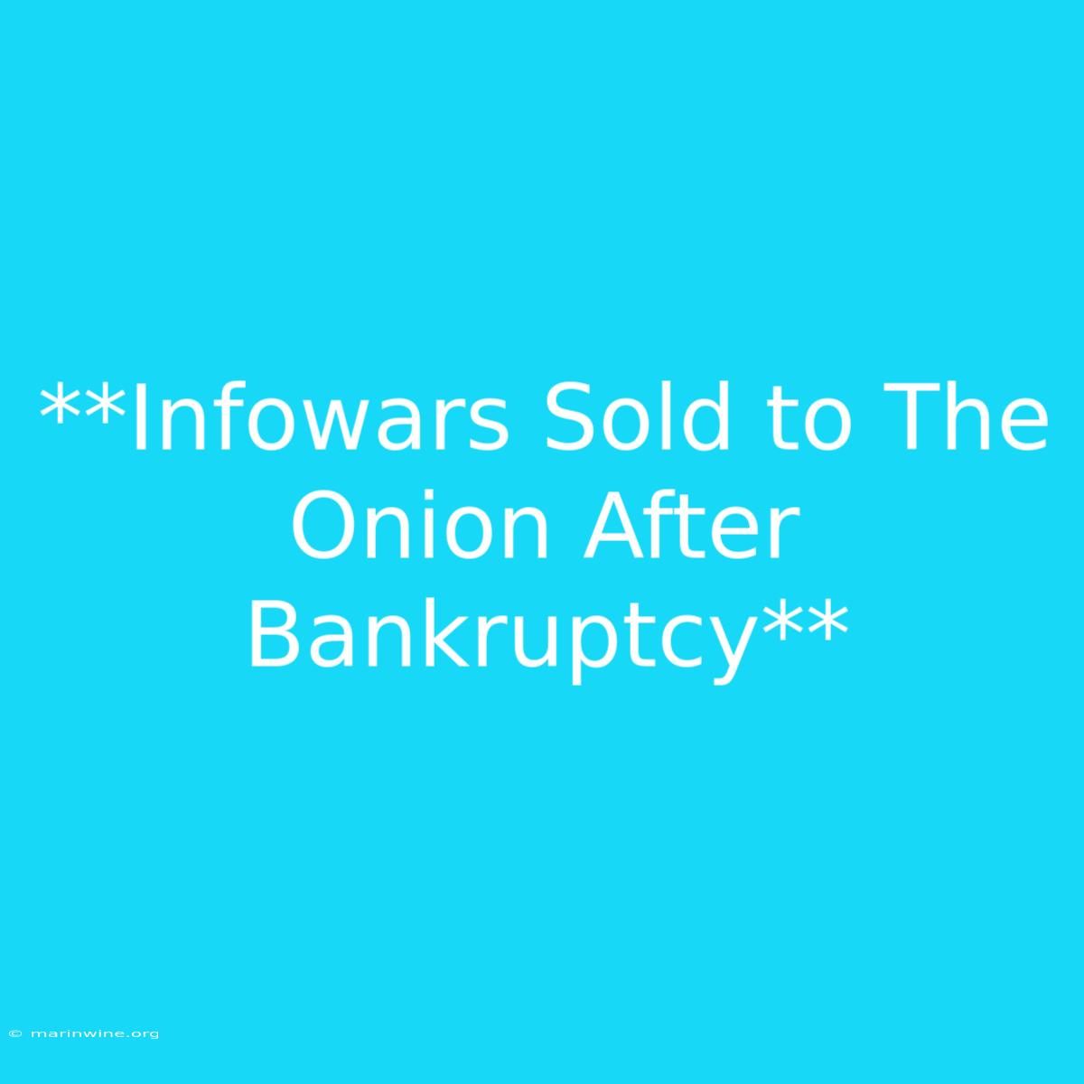 **Infowars Sold To The Onion After Bankruptcy**