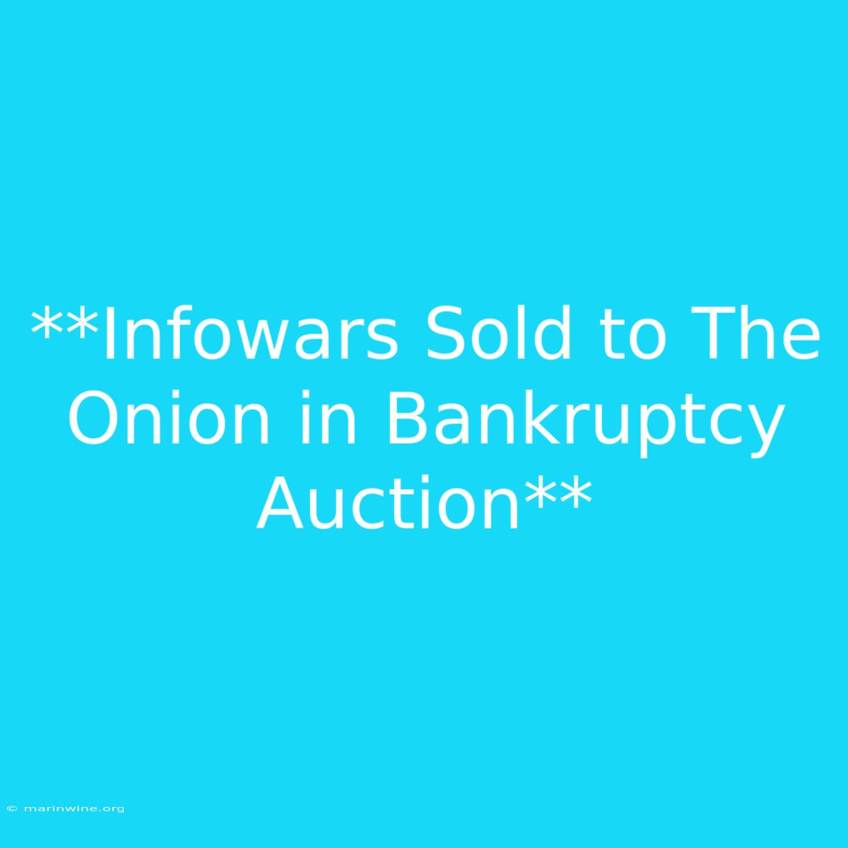 **Infowars Sold To The Onion In Bankruptcy Auction**