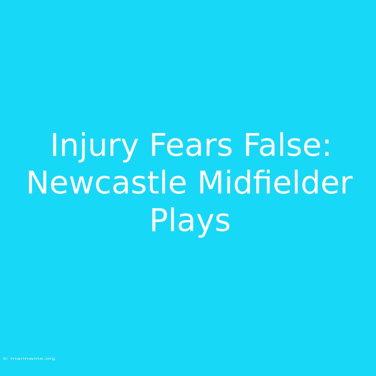 Injury Fears False: Newcastle Midfielder Plays