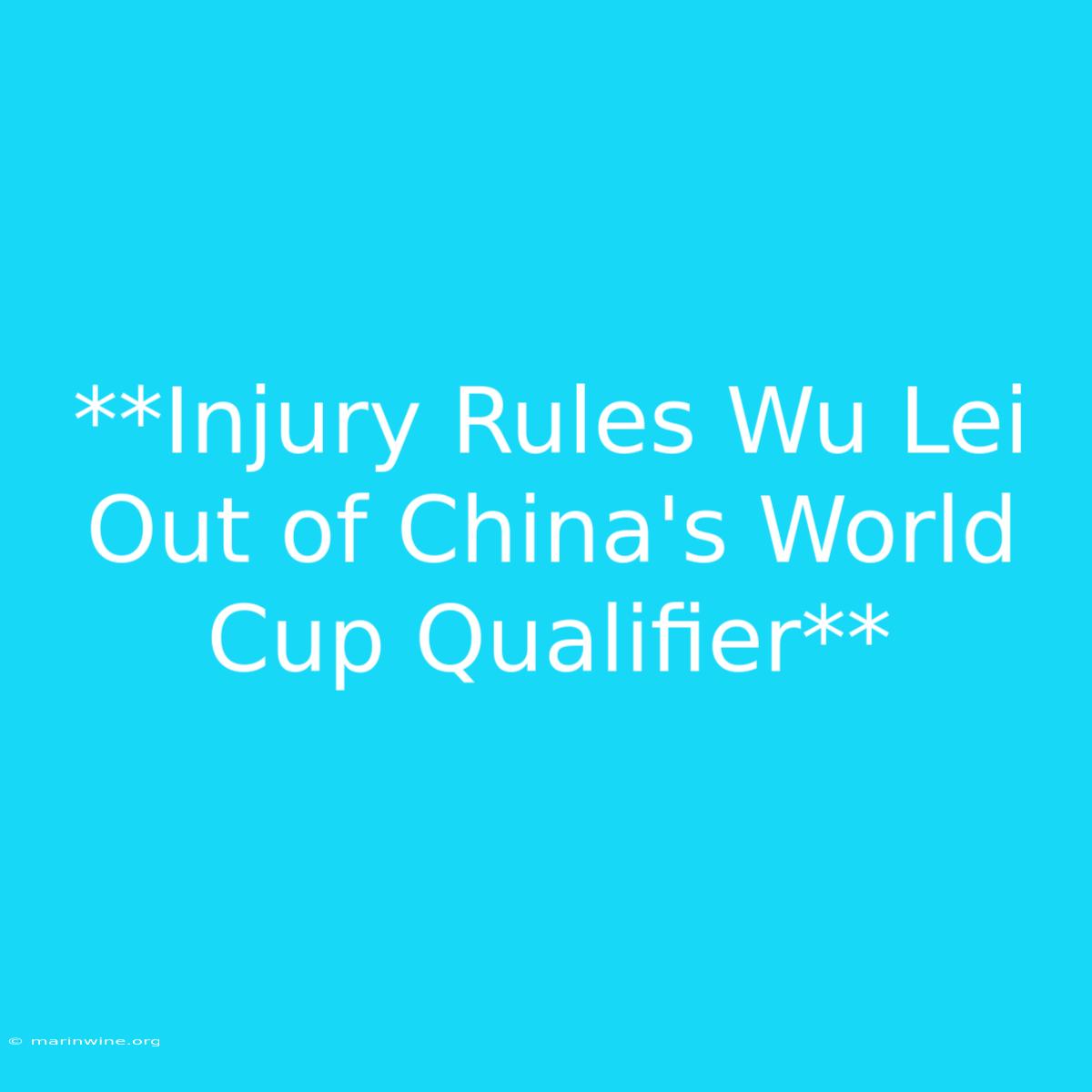 **Injury Rules Wu Lei Out Of China's World Cup Qualifier**