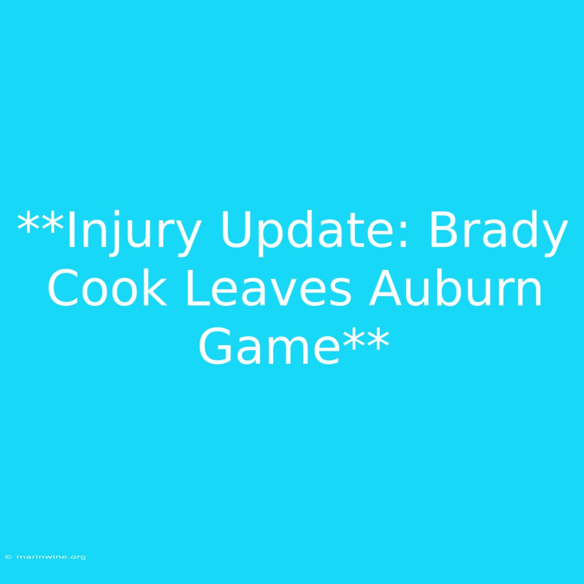 **Injury Update: Brady Cook Leaves Auburn Game** 