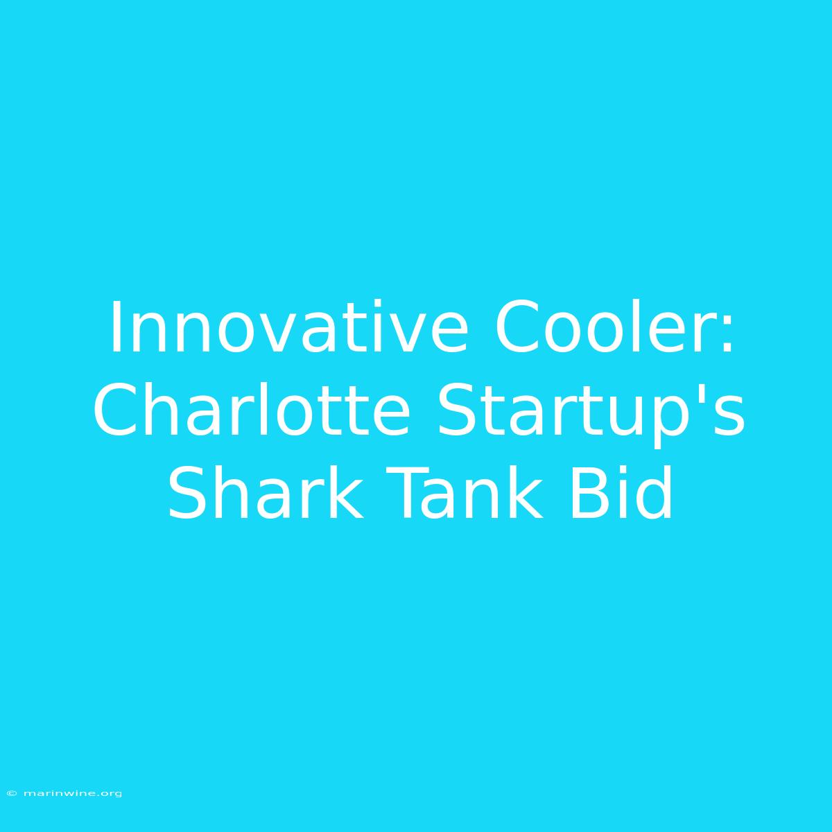 Innovative Cooler: Charlotte Startup's Shark Tank Bid