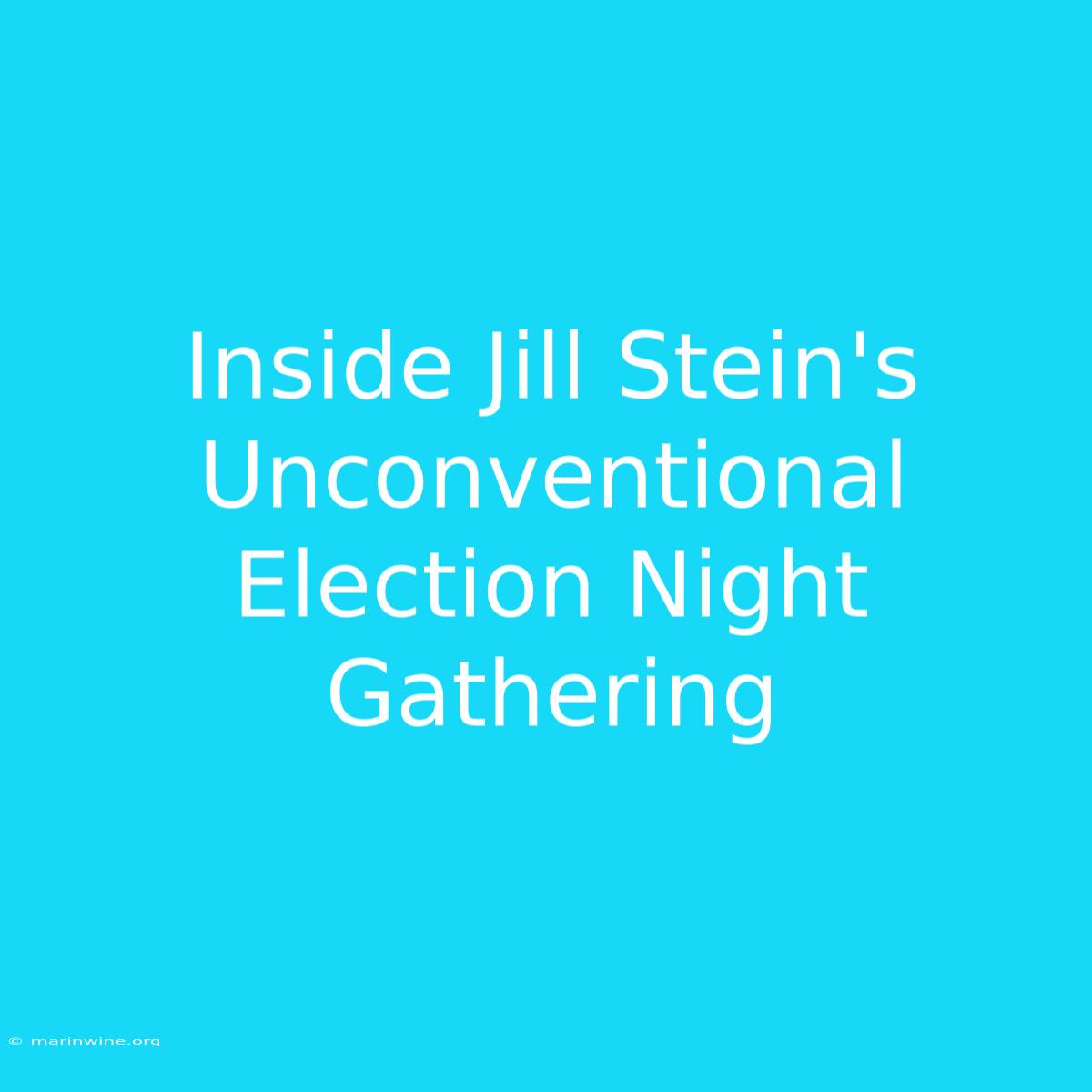 Inside Jill Stein's Unconventional Election Night Gathering