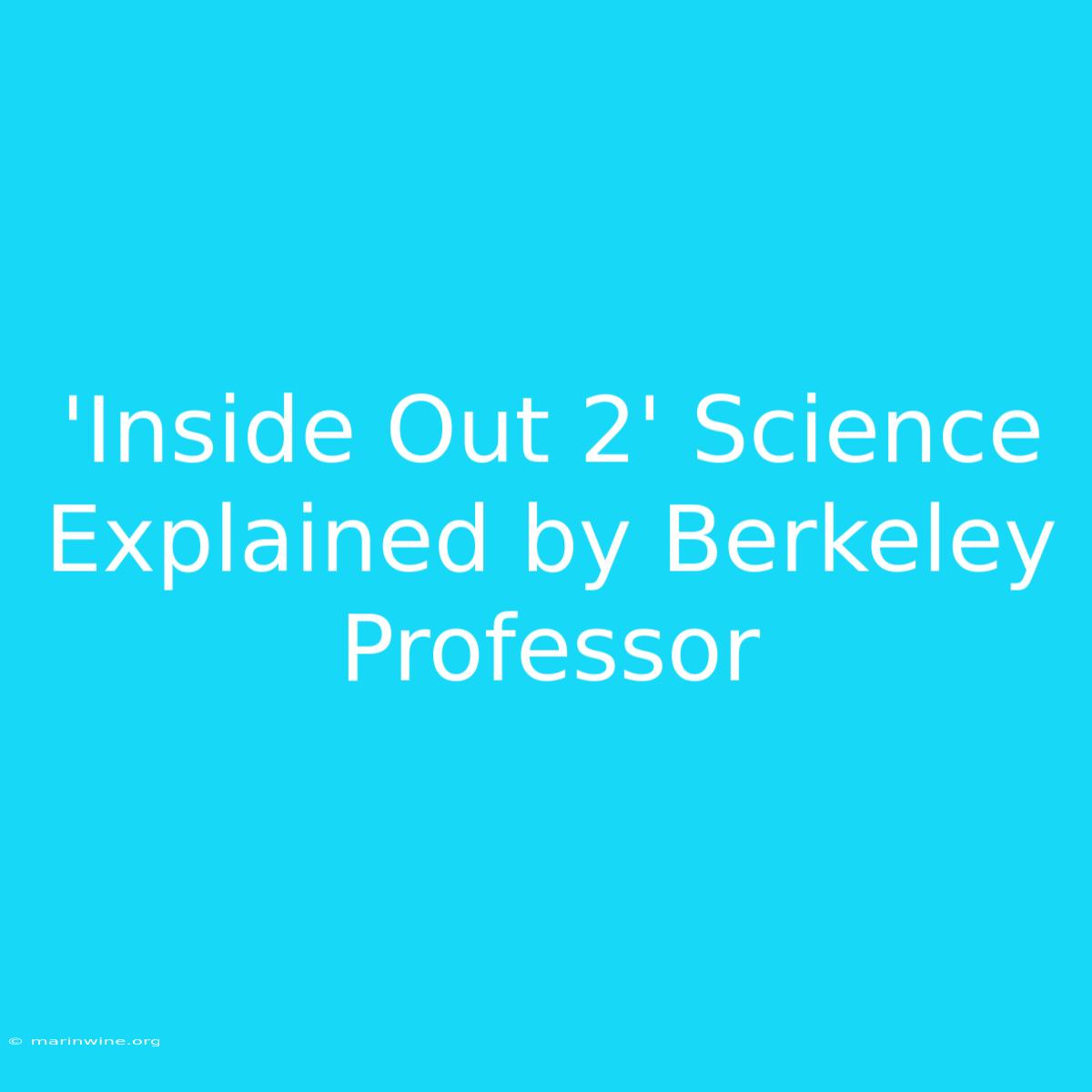 'Inside Out 2' Science Explained By Berkeley Professor