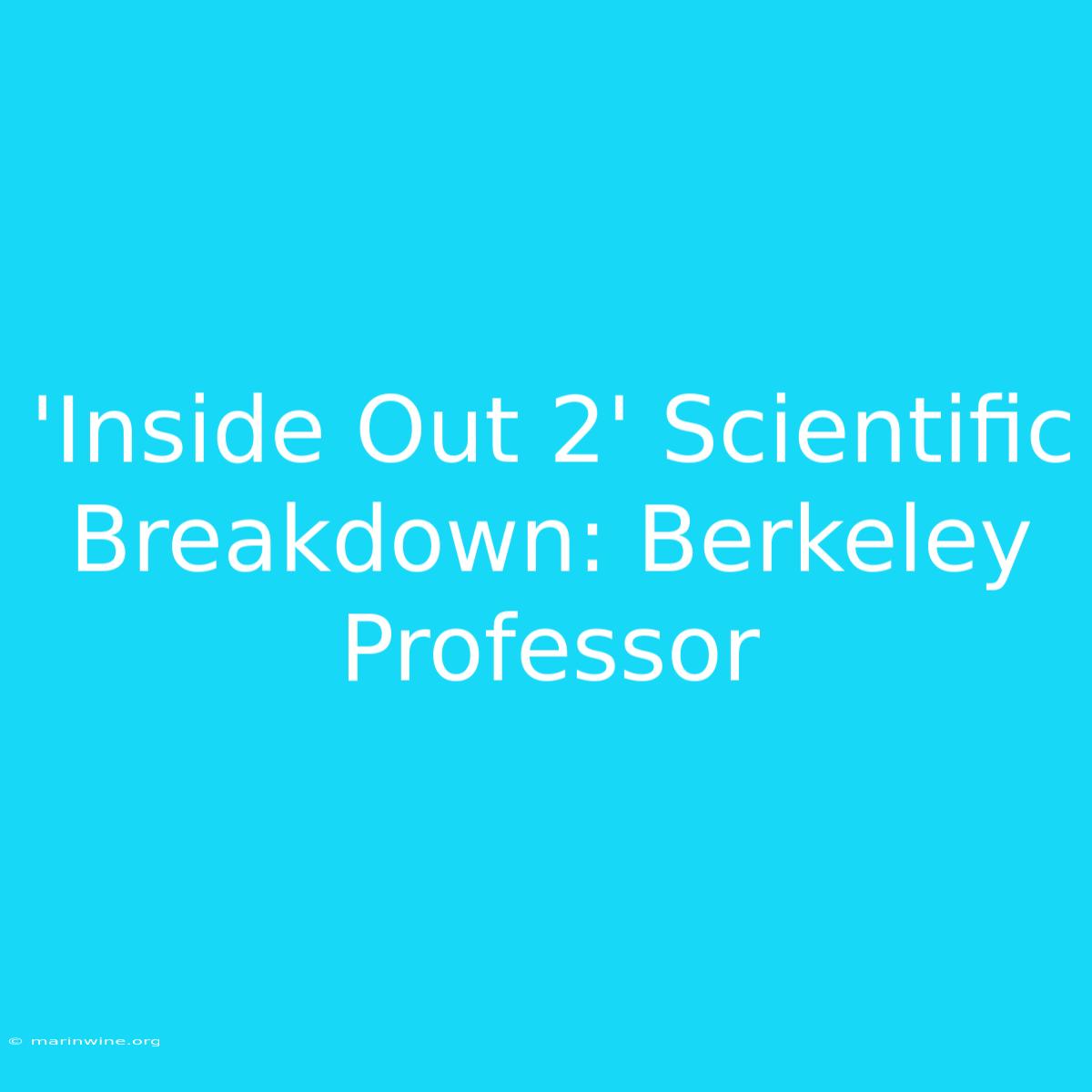 'Inside Out 2' Scientific Breakdown: Berkeley Professor 