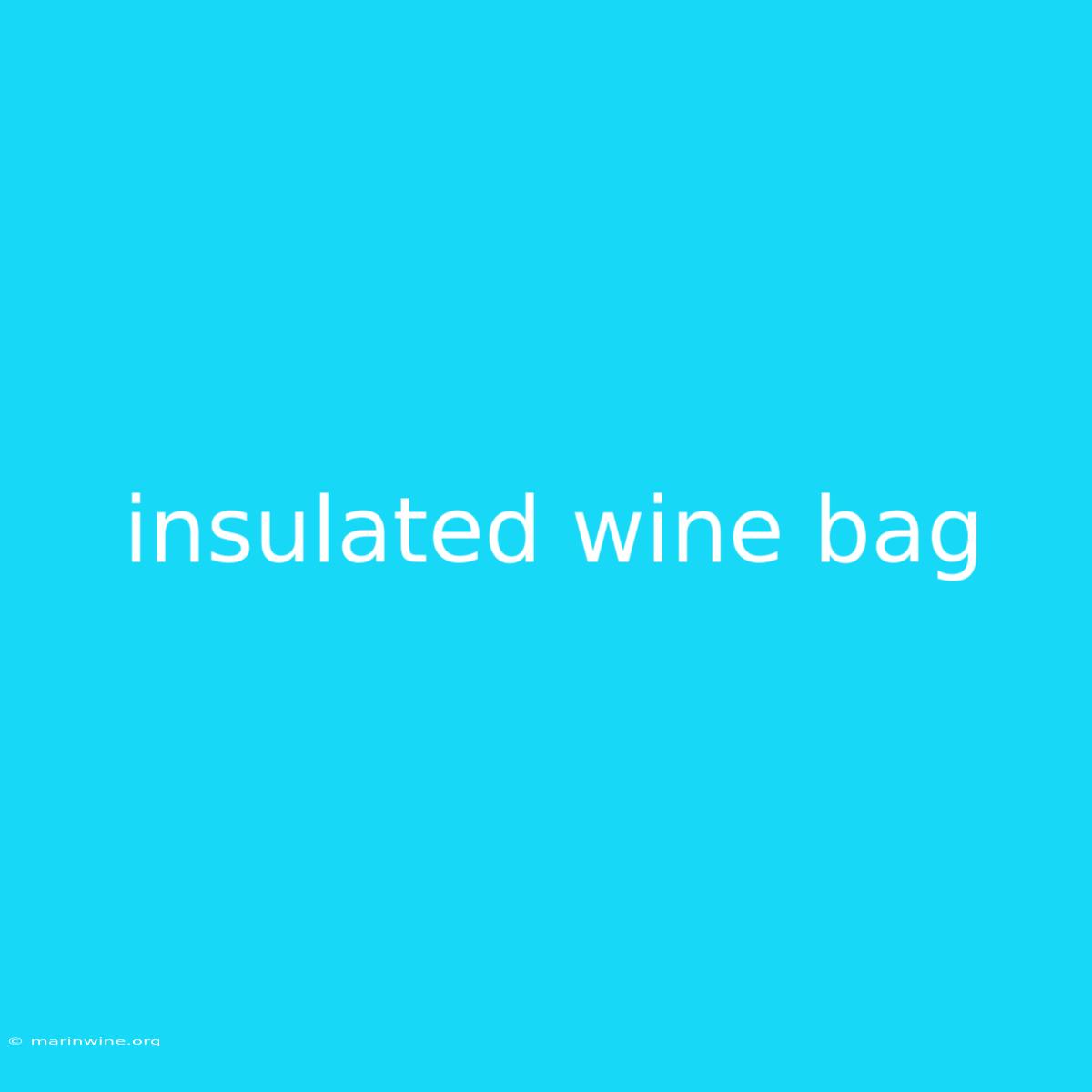 Insulated Wine Bag