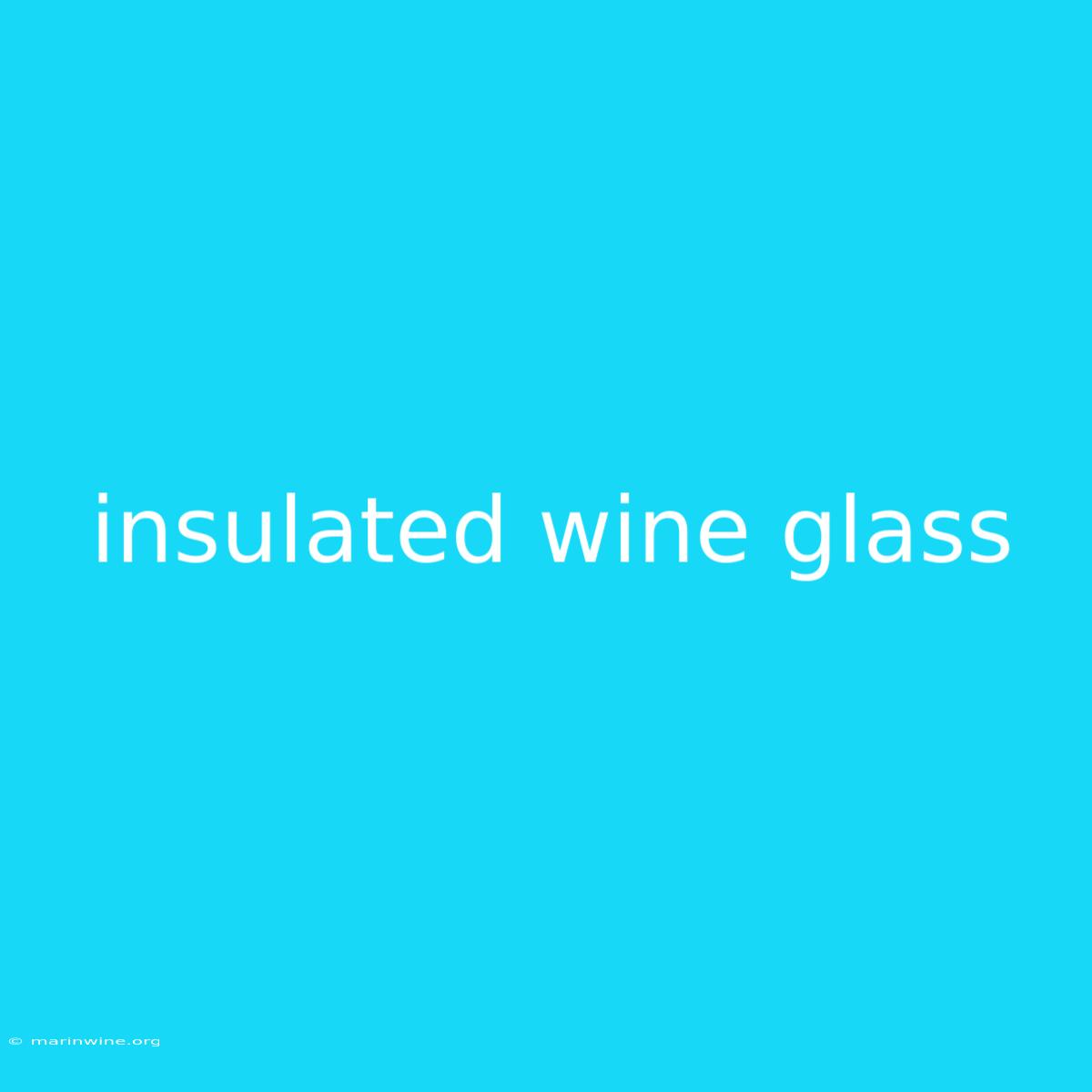 Insulated Wine Glass