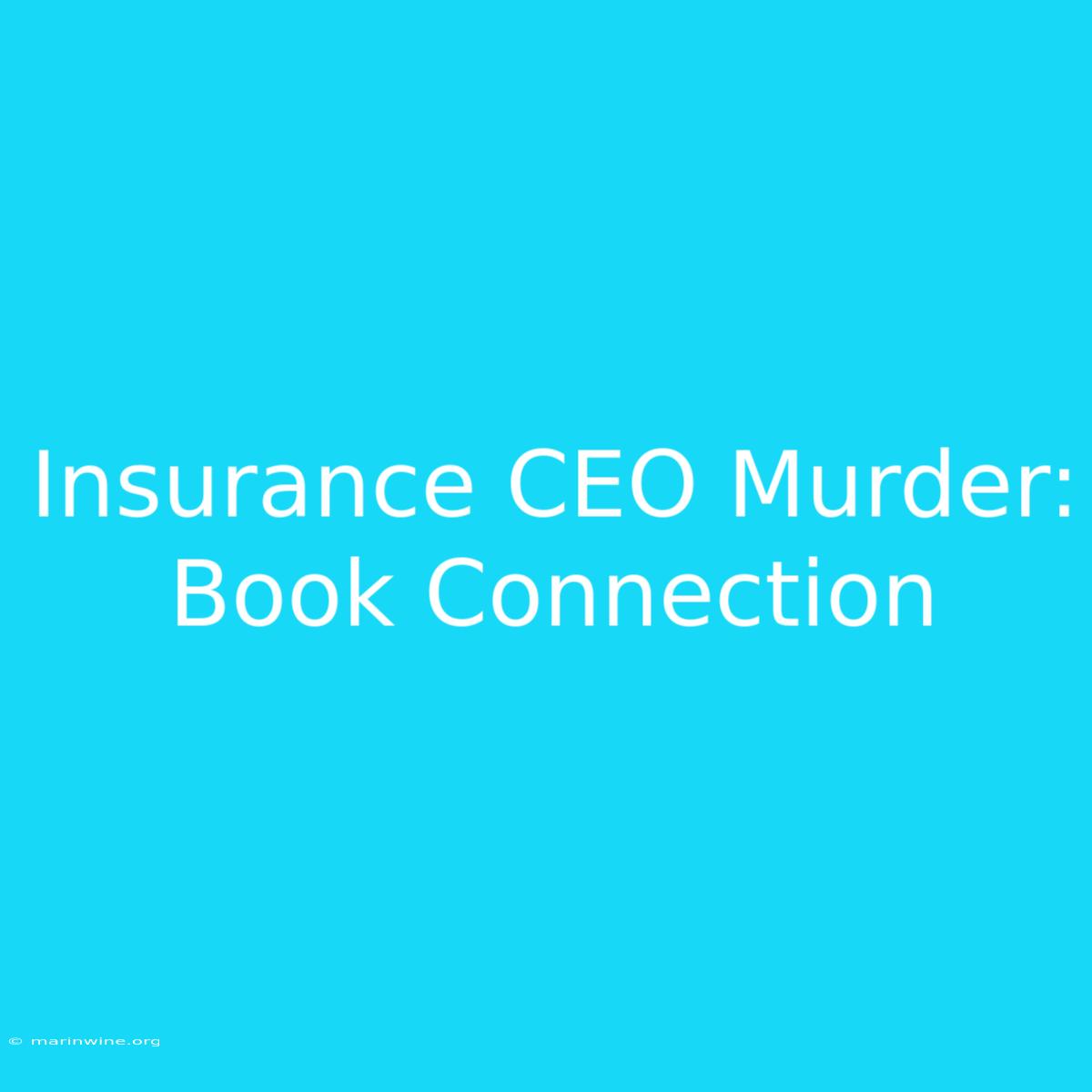 Insurance CEO Murder: Book Connection