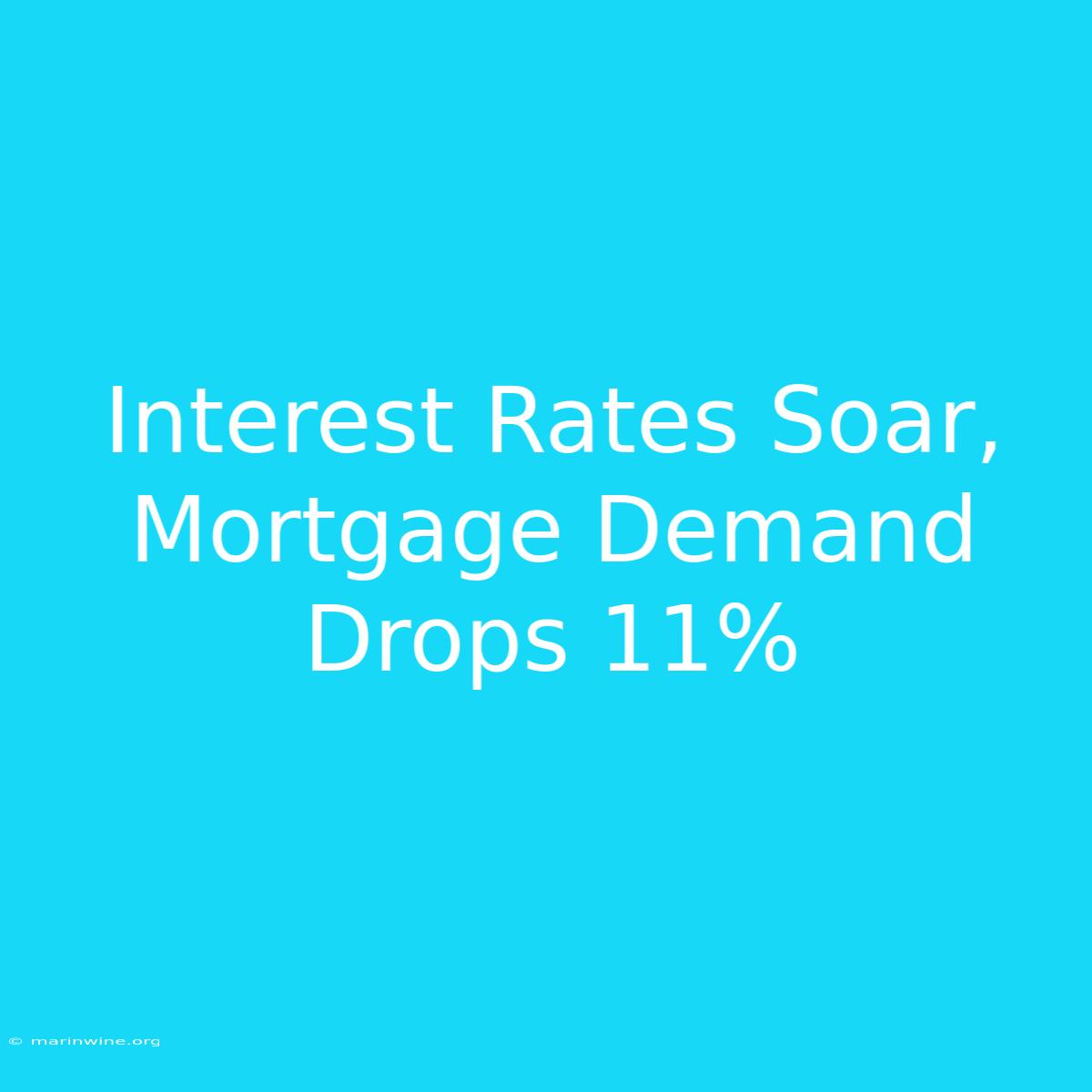 Interest Rates Soar, Mortgage Demand Drops 11%