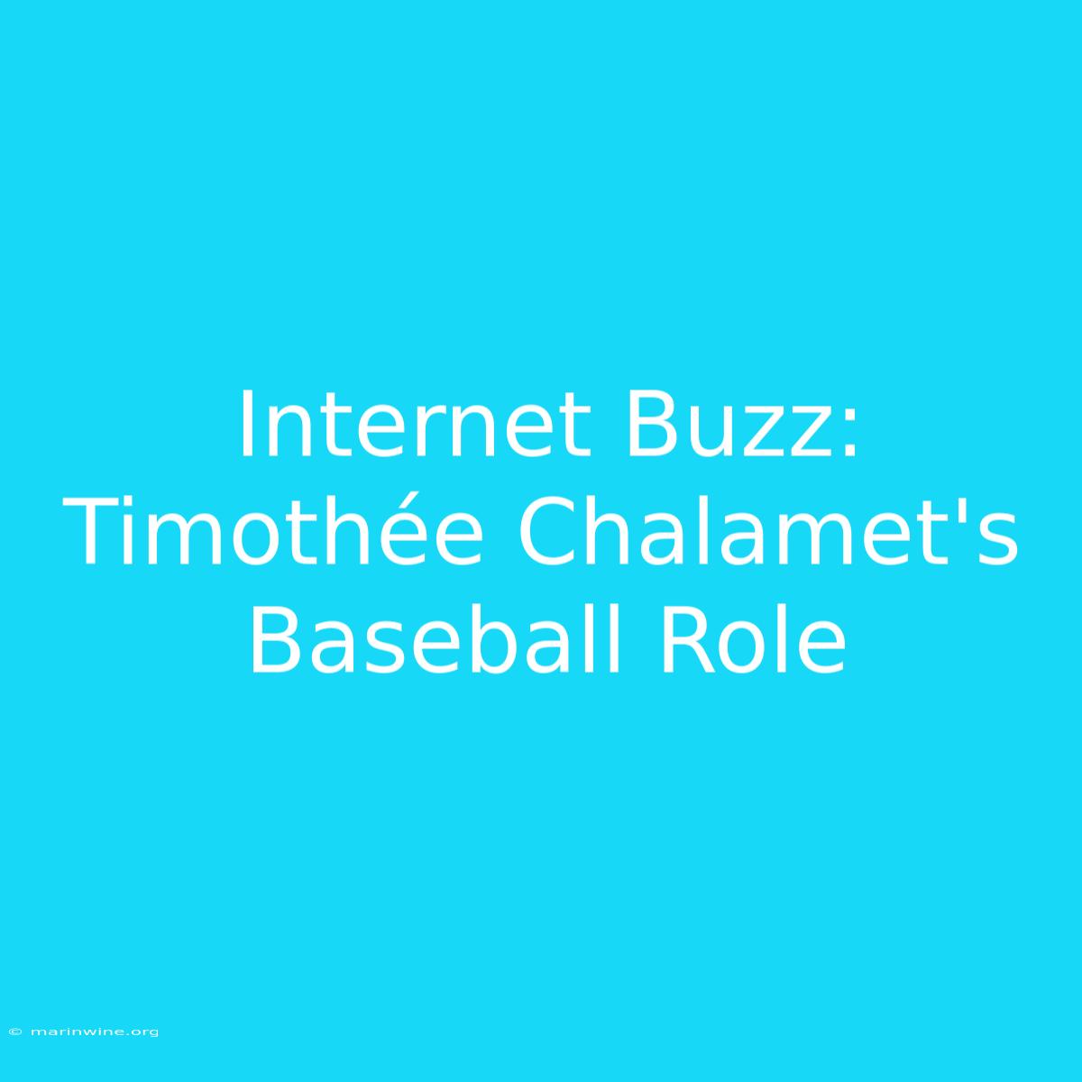 Internet Buzz: Timothée Chalamet's Baseball Role