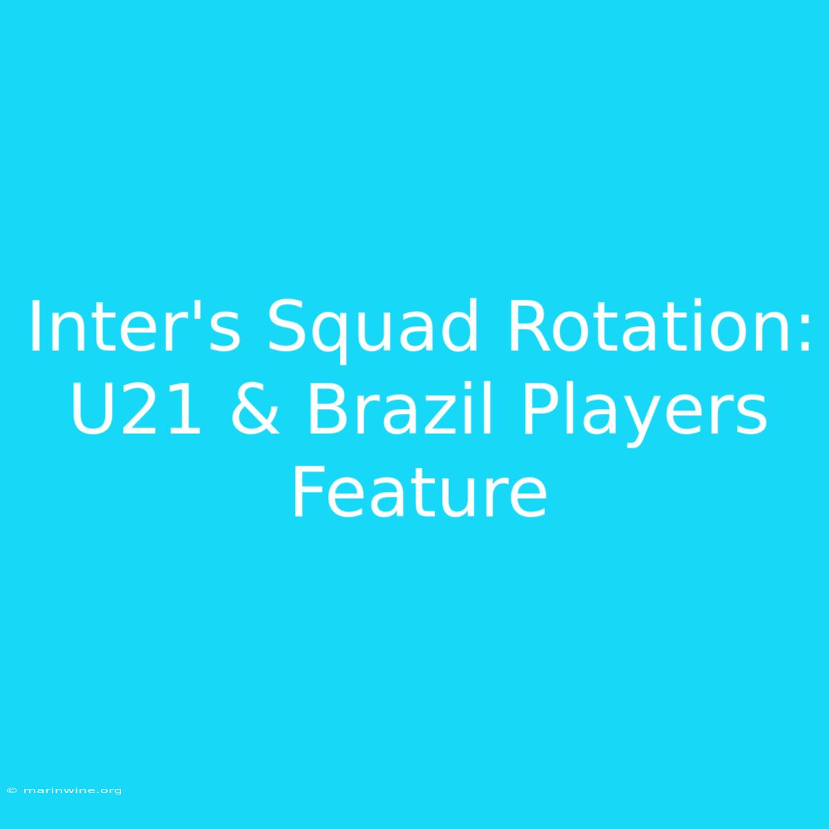 Inter's Squad Rotation: U21 & Brazil Players Feature