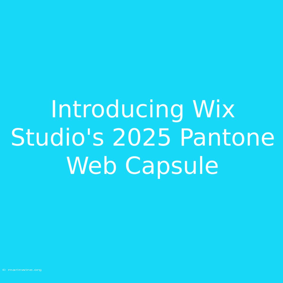 Introducing Wix Studio's 2025 Pantone Web Capsule