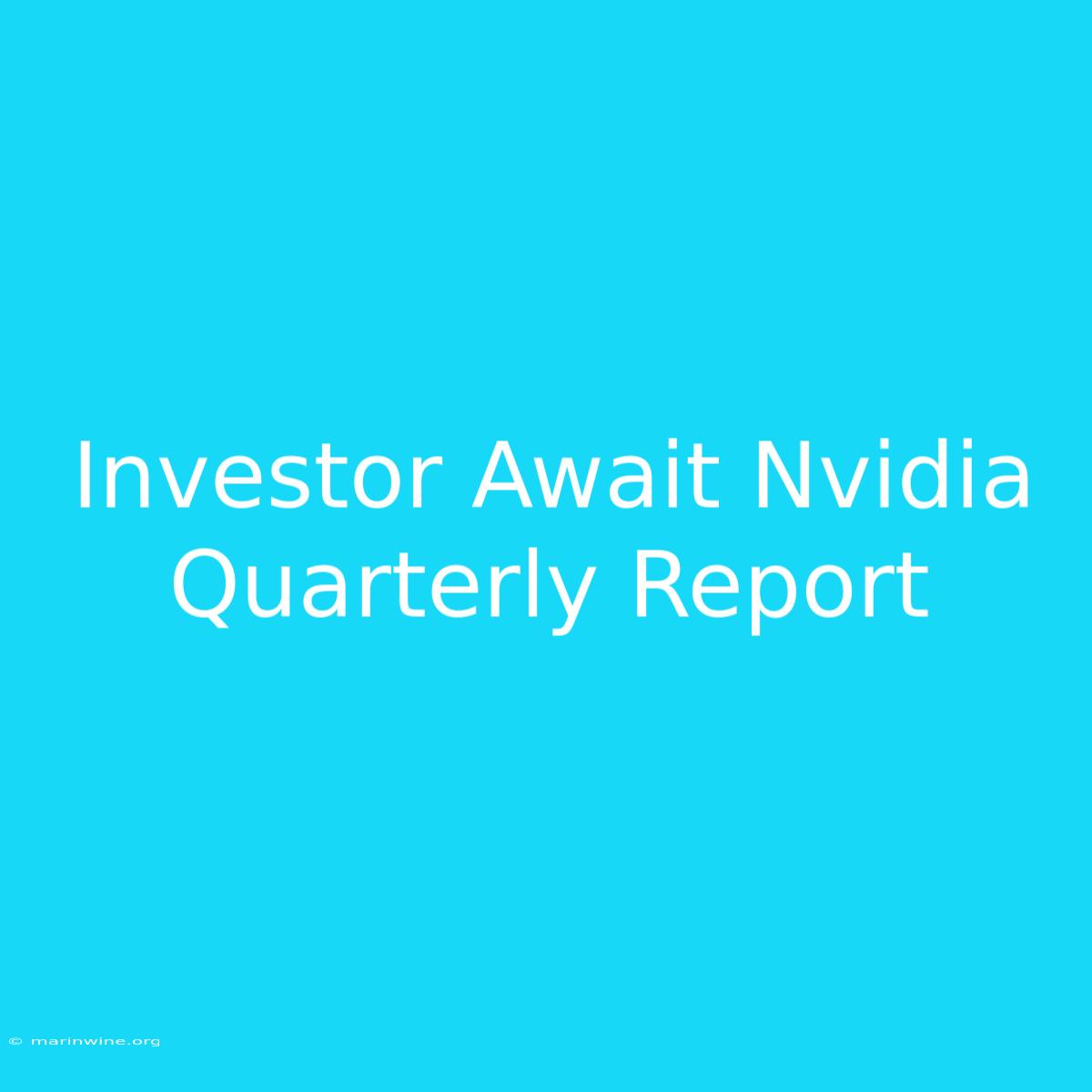 Investor Await Nvidia Quarterly Report