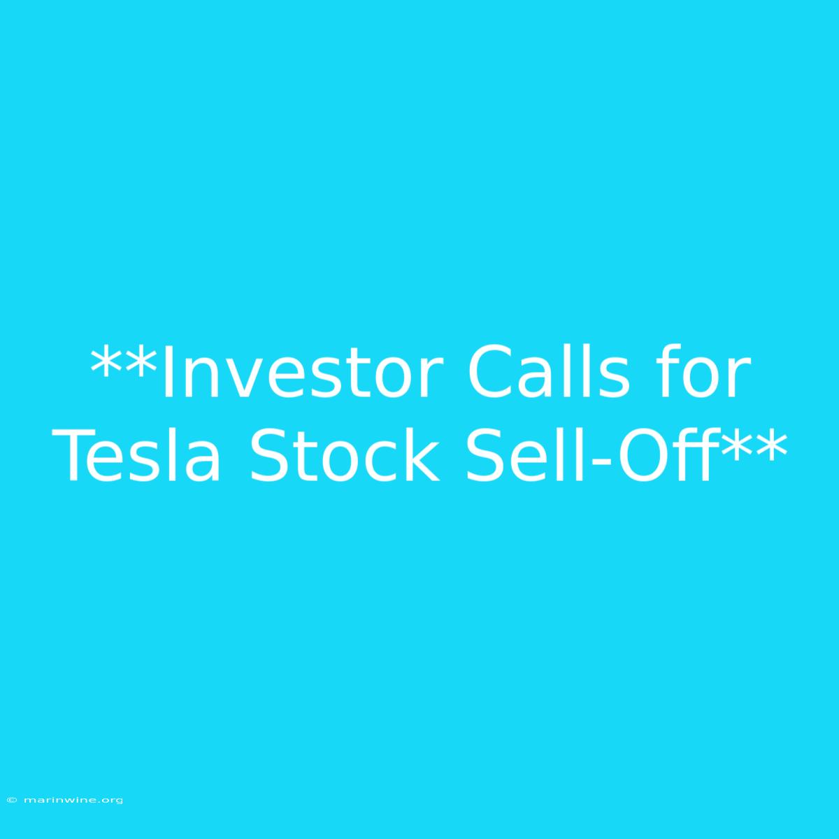 **Investor Calls For Tesla Stock Sell-Off**