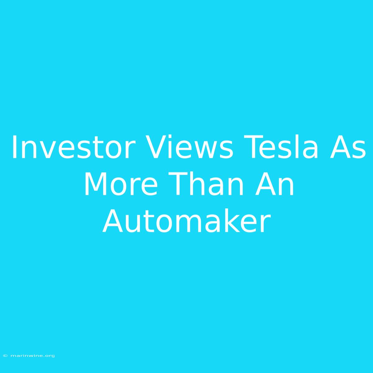 Investor Views Tesla As More Than An Automaker 