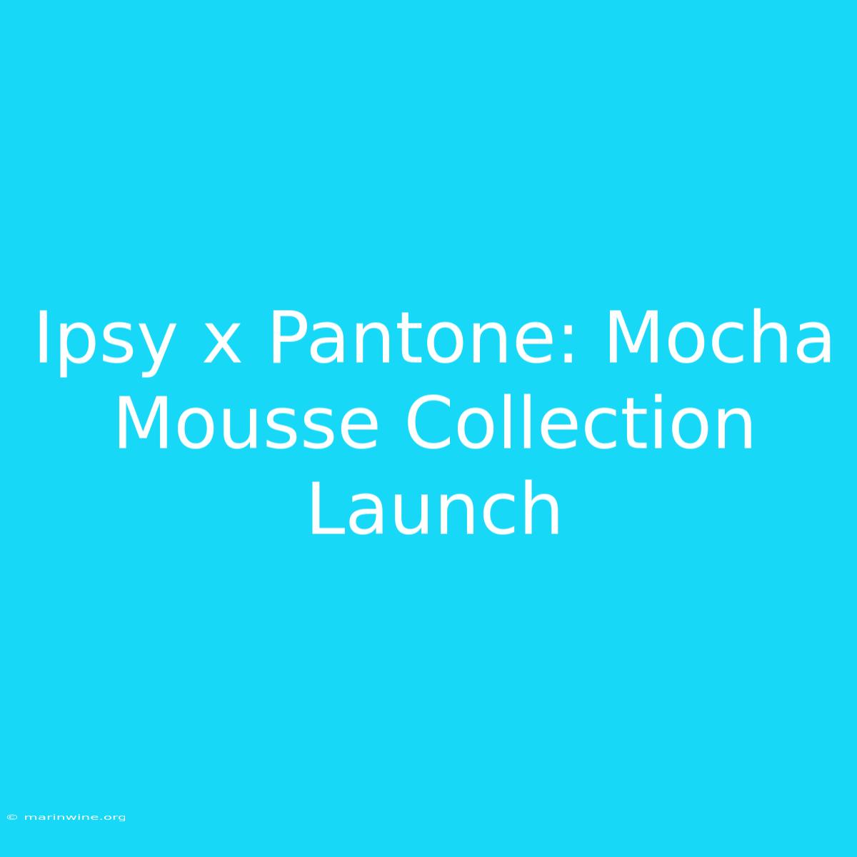 Ipsy X Pantone: Mocha Mousse Collection Launch